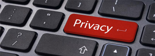 Importance of Domain Privacy
