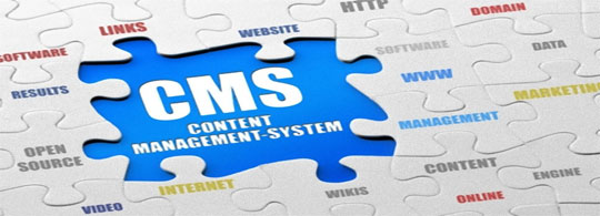 CMS Based Solutions