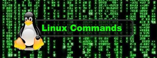 Linux-Basic-Commands