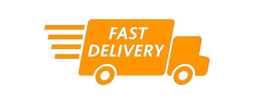 eCommerce Predictions fast delivery