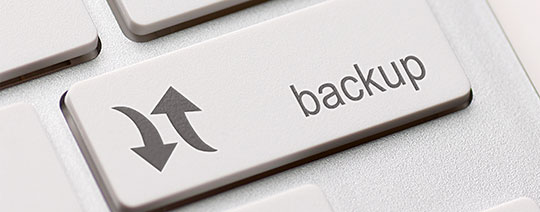 Reliable Web Hosting Backup Strategy