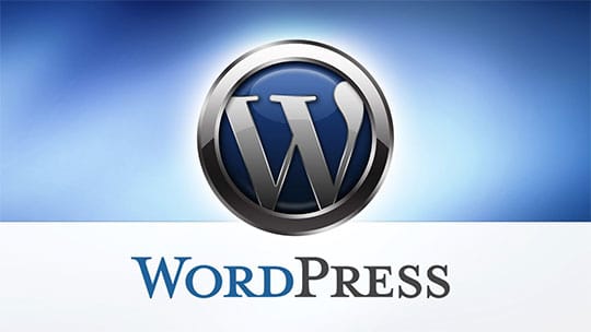 Switch To WordPress - How Is It Beneficial For Every Business - Bottom