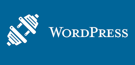 WordPress Mobile Website - WordPress Plugins