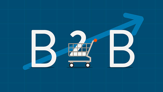 ECommerce Platforms Guiding the Trail for B2B Marketing