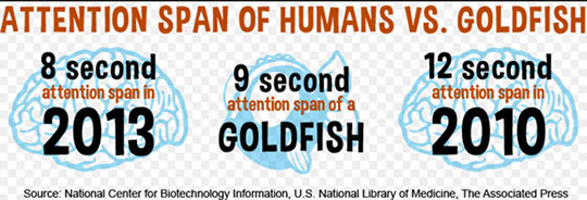 human-vs-goldfish