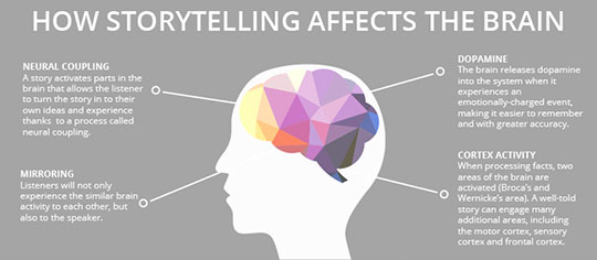 what happens to our brains when we are presented with stories.