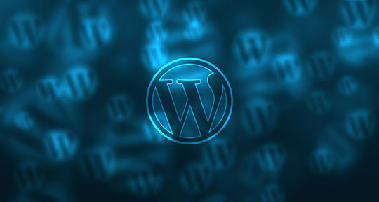 WordPress-Logo-3