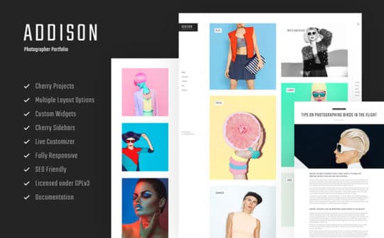 Addison-Bright-and-Creative-WordPress-Photographer-Theme
