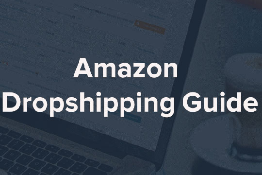 Amazon-Dropshipping-Guide