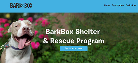 Barkbox-example