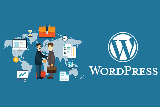 Enterprise-Business-WordPress-Platform-2