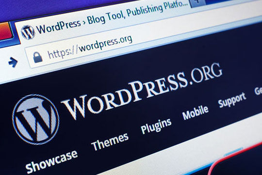 WordPress-website-URL