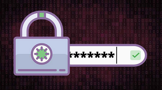 secure-WordPress-admin-OTP-safety-security-internet-password-lock