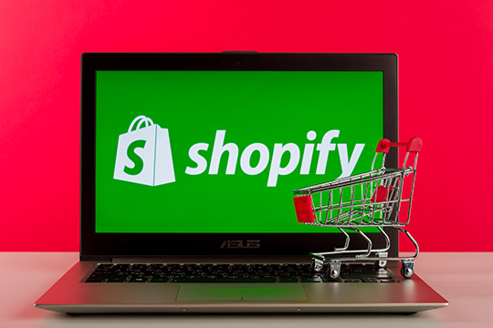 shopify-ecommerce-website