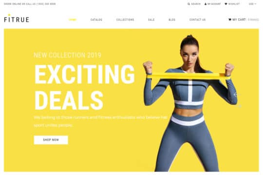 Fitrue-Sports-Store-Multipage-Clean-Shopify-Theme