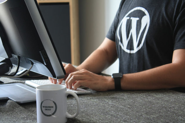 WordPress-designer-developer-coder-programmer