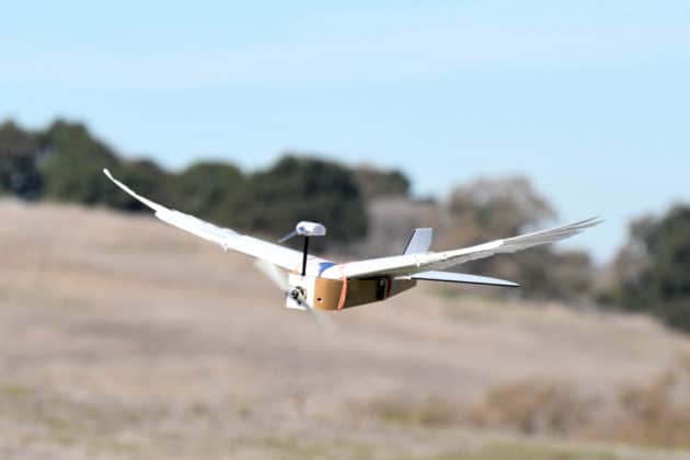 Robot-Birds-tech-inventions