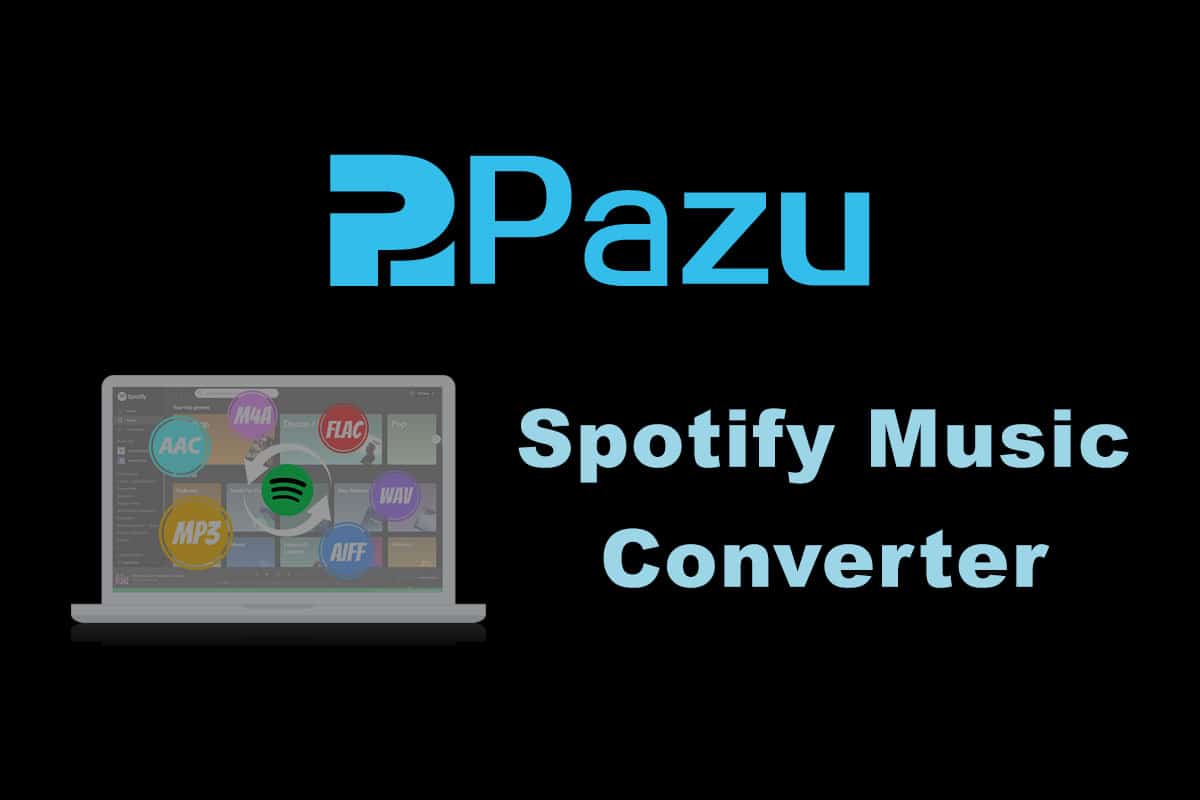 pazu-spotify-music-converter