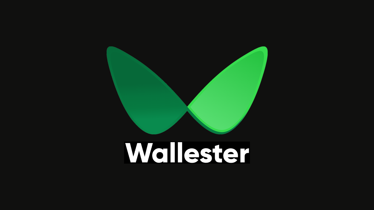 Wallester-Insights-Reviews