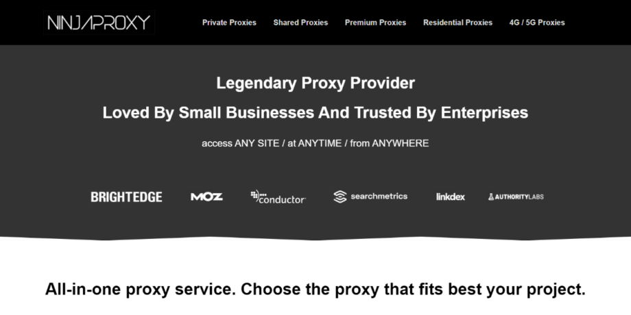 Screenshot of NinjaProxy website homepage.